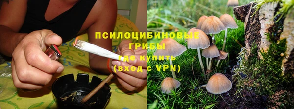 ALPHA-PVP Кодинск