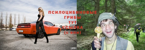 мдпв Костерёво