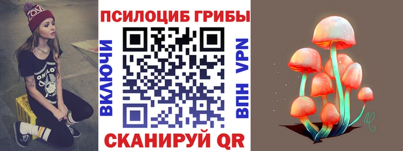 Псилоцибиновые грибы мицелий  Купить где  Оса 